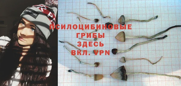 гидропоника Козловка
