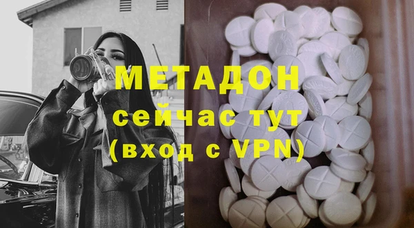 прущие грибы Кодинск