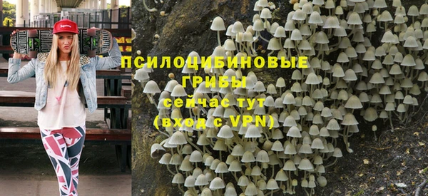 гидропоника Козловка