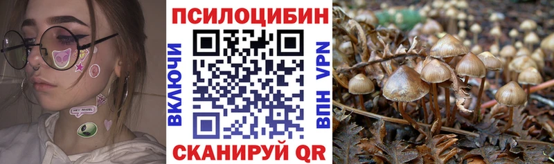 Купить  Находка  Галлюциногенные грибы GOLDEN TEACHER 