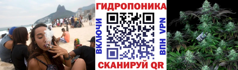 Каннабис MAZAR  Купить где  Находка 